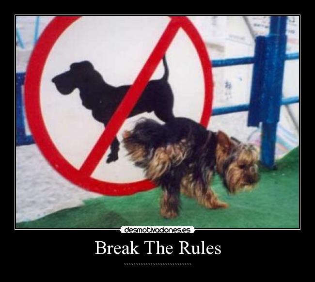 Break The Rules - ````````````````````````````
