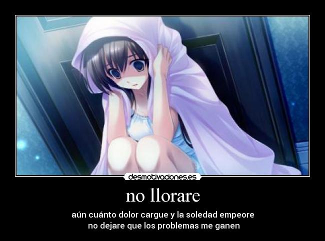 no llorare - 