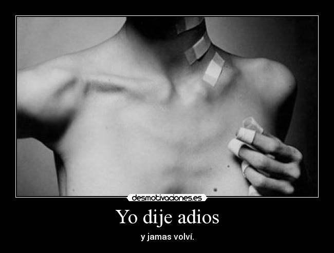 Yo dije adios -