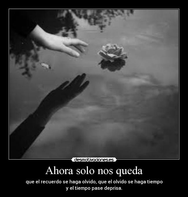 carteles kimii9 desmotivaciones