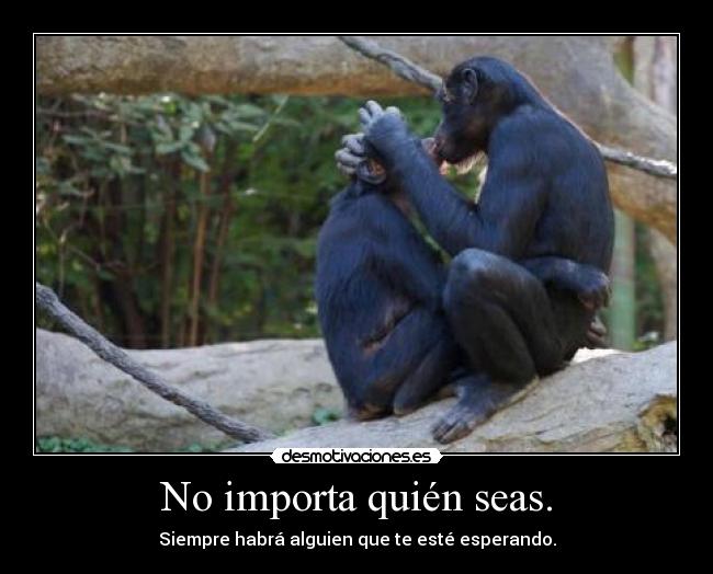 No importa quién seas. - 