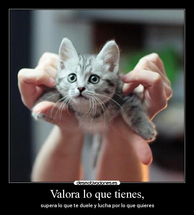 Valora lo que tienes, - 