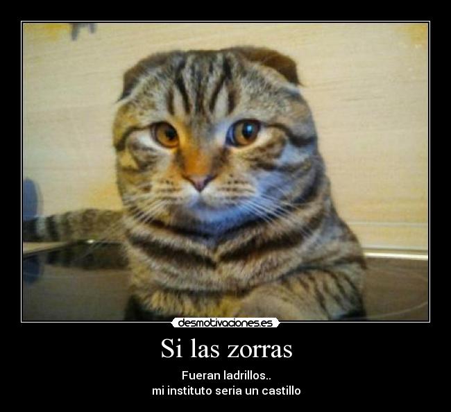 Si las zorras - Fueran ladrillos..
mi instituto seria un castillo