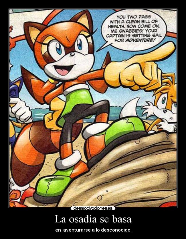 carteles marine the raccoon desmotivaciones