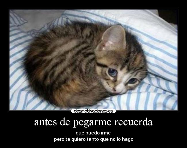 antes de pegarme recuerda -
