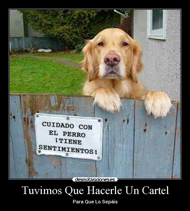 carteles perros gracioso lidoxd desmotivaciones