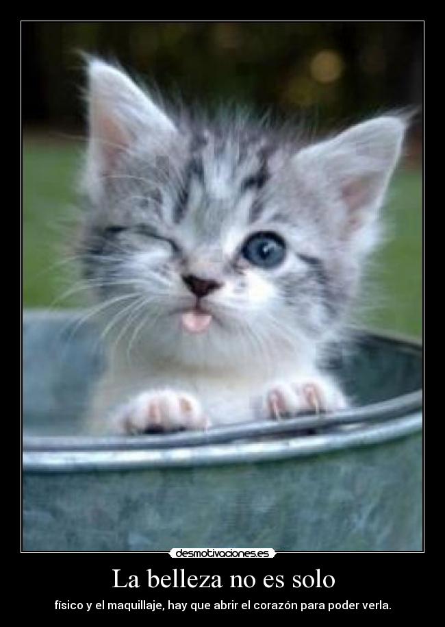 La belleza no es solo - físico y el maquillaje, hay que abrir el corazón para poder verla.