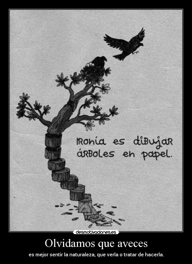 Olvidamos que aveces -