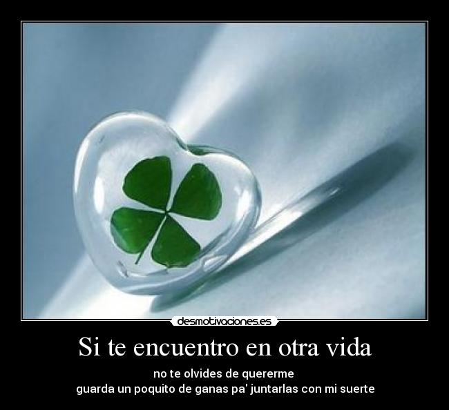 Si te encuentro en otra vida -