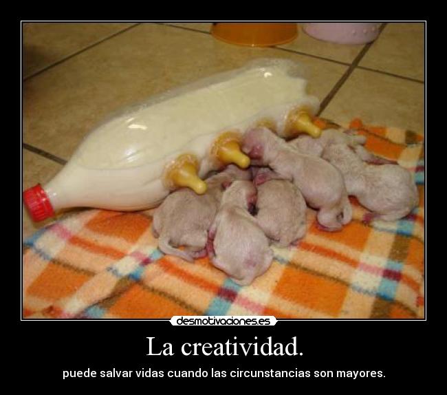 La creatividad. -