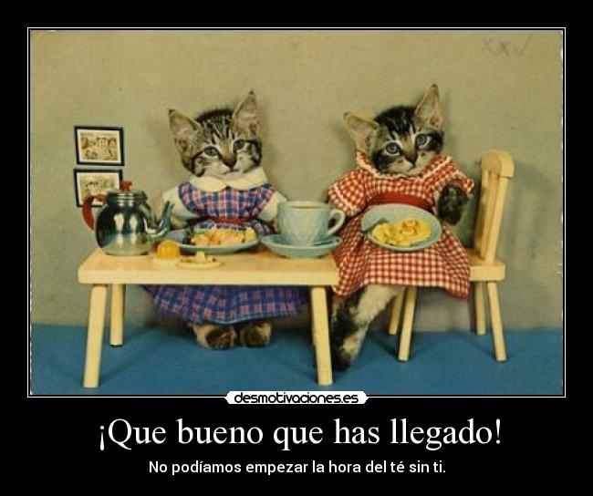 ¡Que bueno que has llegado! - No podíamos empezar la hora del té sin ti.