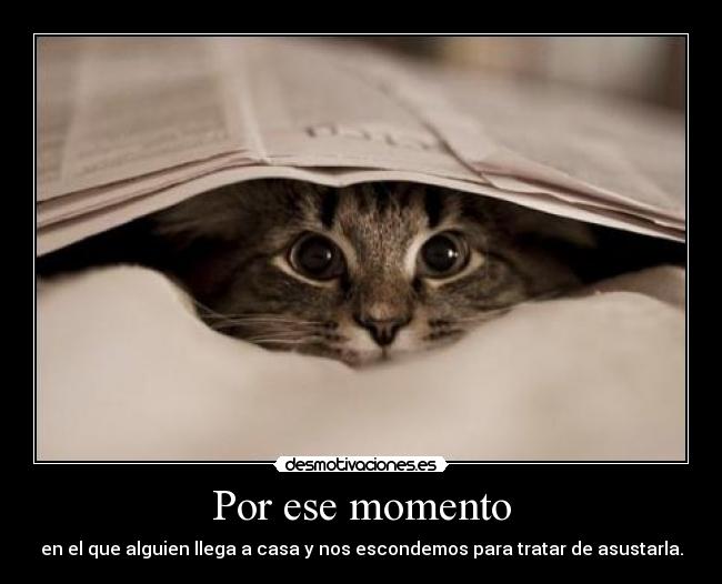 Por ese momento - en el que alguien llega a casa y nos escondemos para tratar de asustarla.