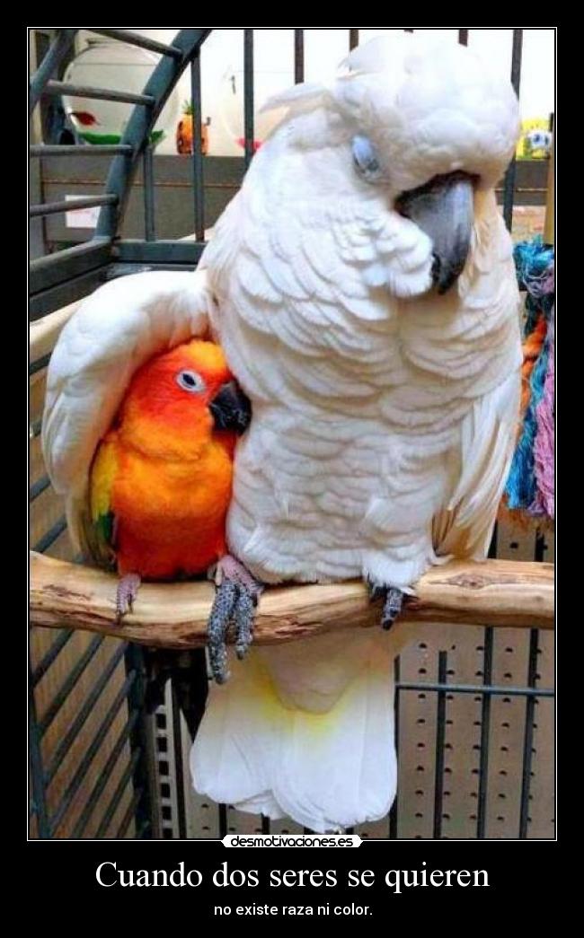 carteles seresq desmotivaciones