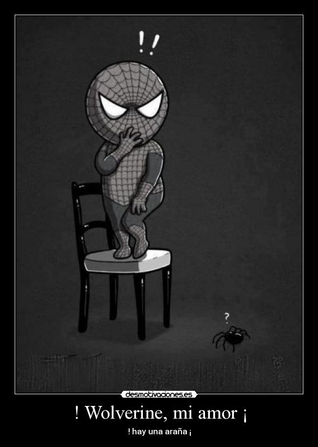 ! Wolverine, mi amor ¡ - ! hay una araña ¡
