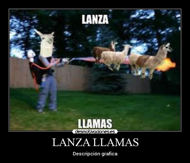LANZA LLAMAS - Descripción grafica