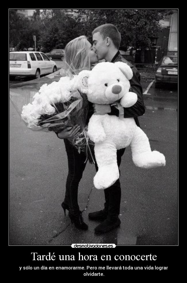 Tardé una hora en conocerte - y sólo un día en enamorarme. Pero me llevará toda una vida lograr olvidarte.