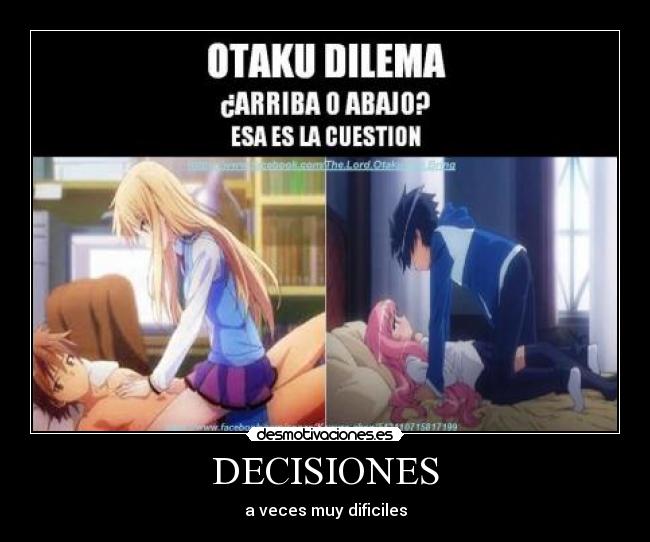 carteles decisiones sakurasou pet kanojo mashiro zero tsukaima louise desmotivaciones