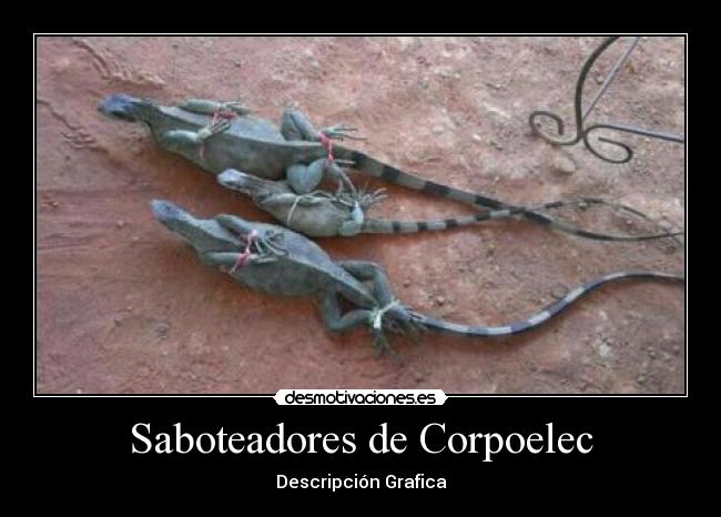 Saboteadores de Corpoelec -