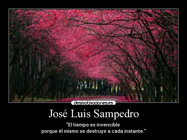 José Luis Sampedro -