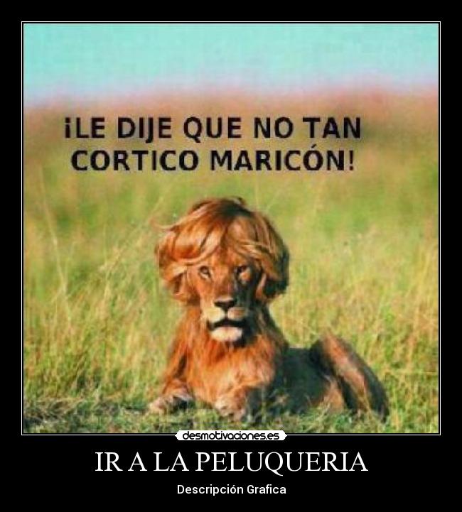 IR A LA PELUQUERIA -