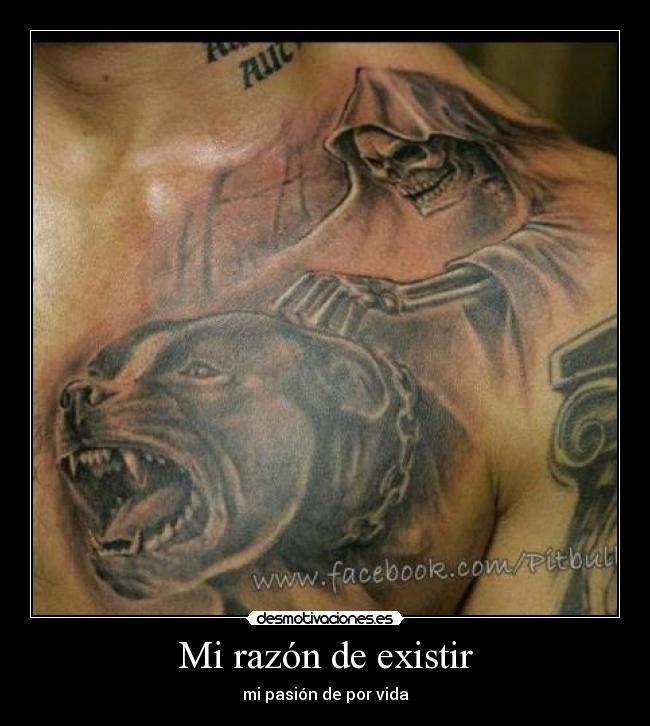 Mi razón de existir - mi pasión de por vida