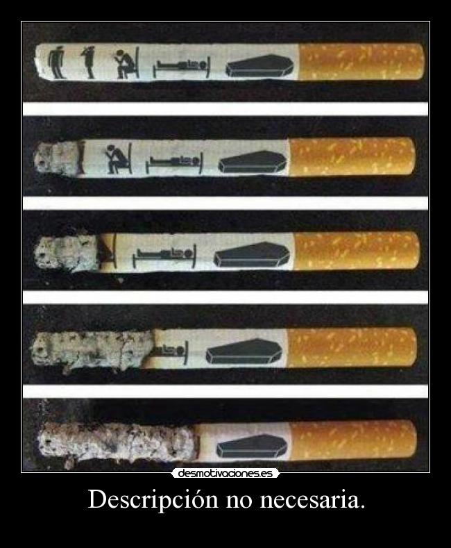 Descripción no necesaria. -