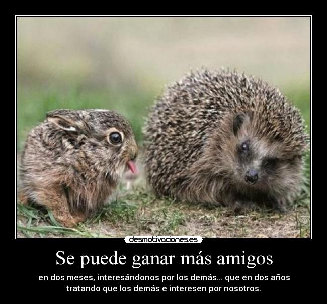 Se puede ganar más amigos - 