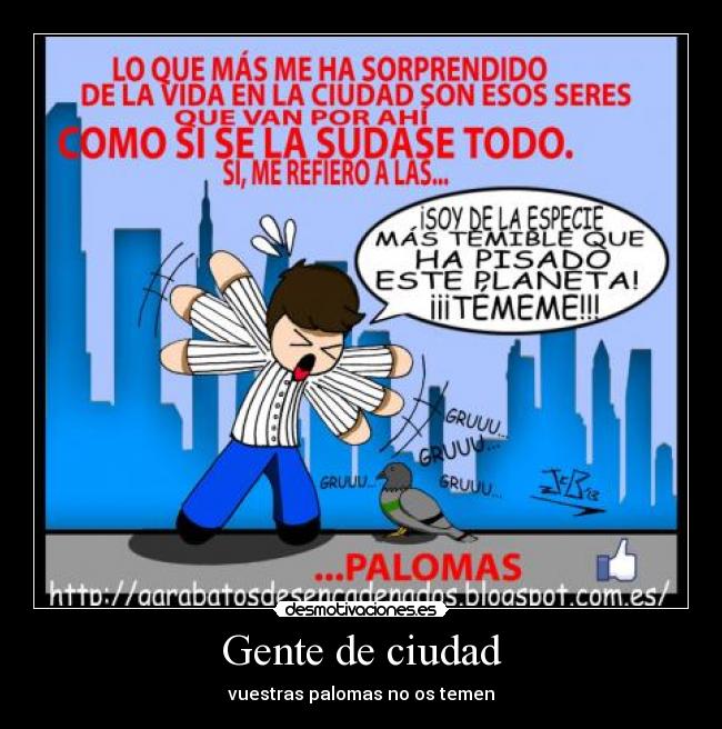 Gente de ciudad - vuestras palomas no os temen