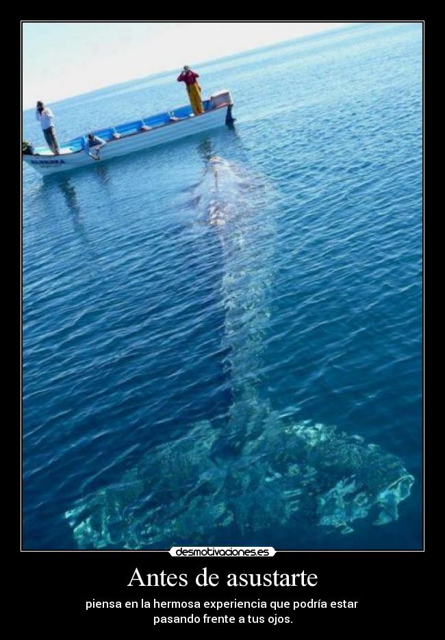 Antes de asustarte - piensa en la hermosa experiencia que podría estar
pasando frente a tus ojos.