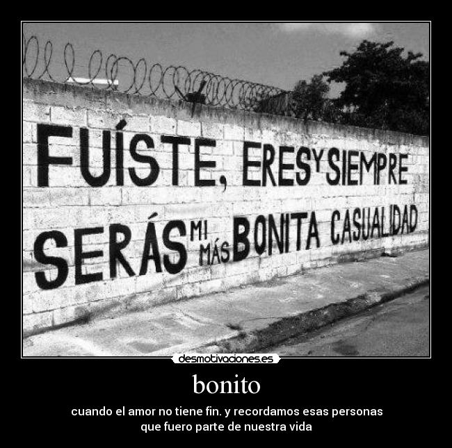 bonito -