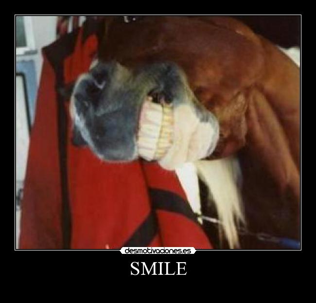 carteles  desmotivaciones