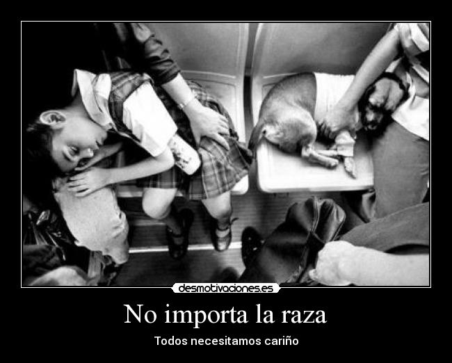 No importa la raza -