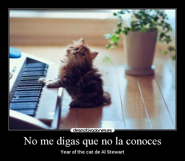 No me digas que no la conoces - Year of the cat de Al Stewart
