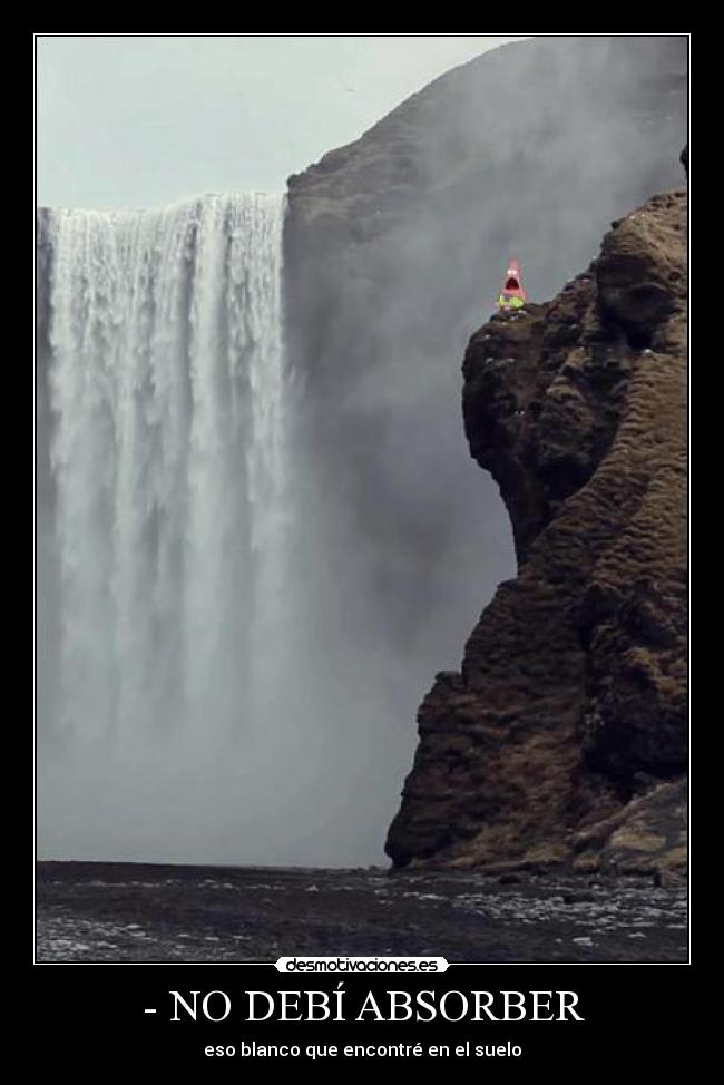 - NO DEBÍ ABSORBER - eso blanco que encontré en el suelo