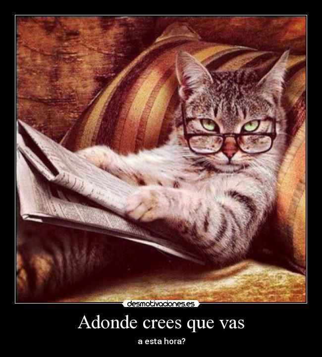 Adonde crees que vas - a esta hora?