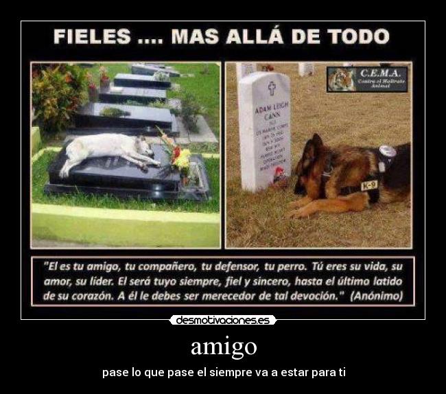 amigo - pase lo que pase el siempre va a estar para ti