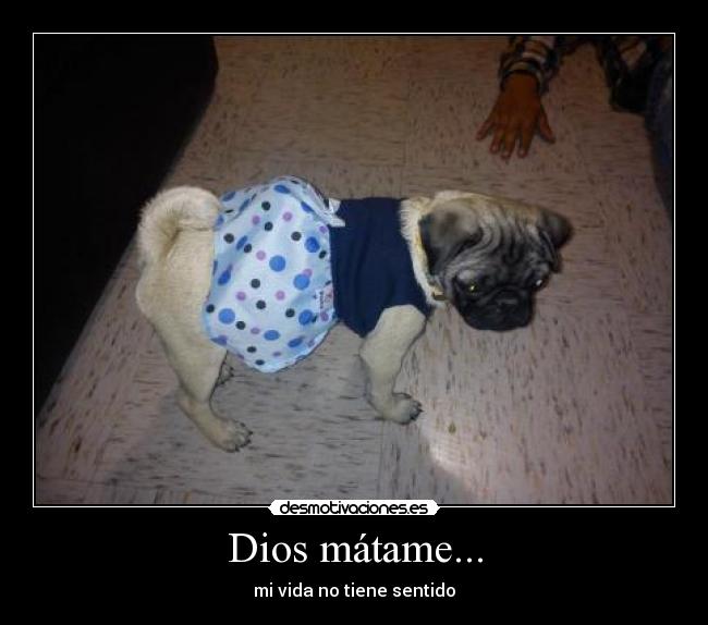Dios mátame... - mi vida no tiene sentido