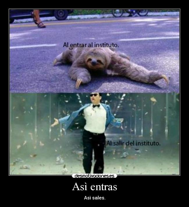 Asì entras -