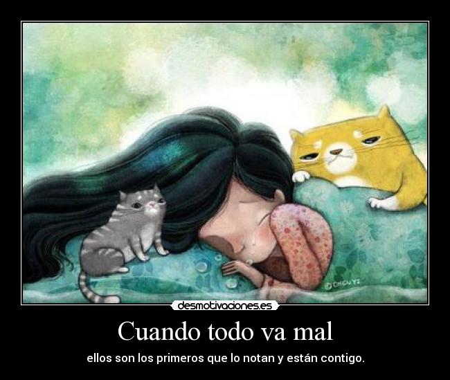 Cuando todo va mal -