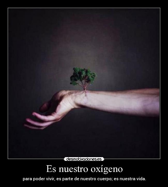 Es nuestro oxígeno - para poder vivir, es parte de nuestro cuerpo; es nuestra vida.