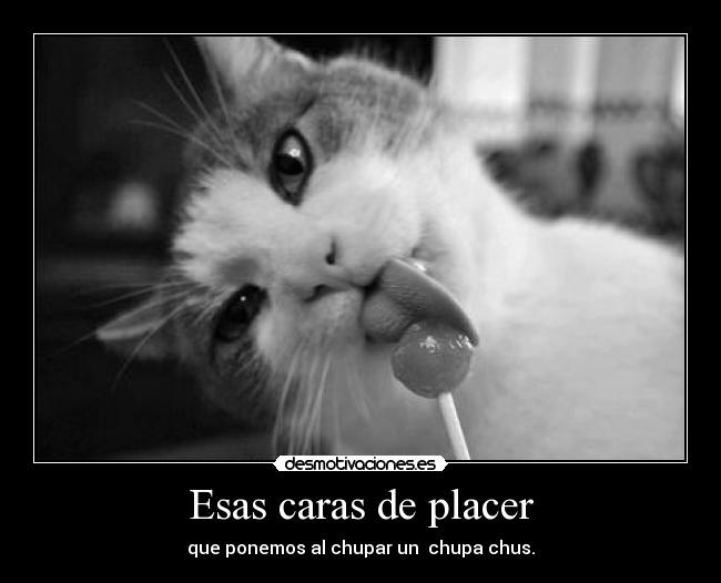 Esas caras de placer - que ponemos al chupar un  chupa chus.