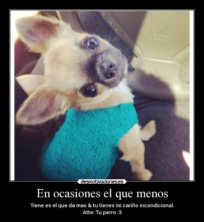 En ocasiones el que menos - Tiene es el que da mas & tu tienes mi cariño incondicional.
Atte: Tu perro :3