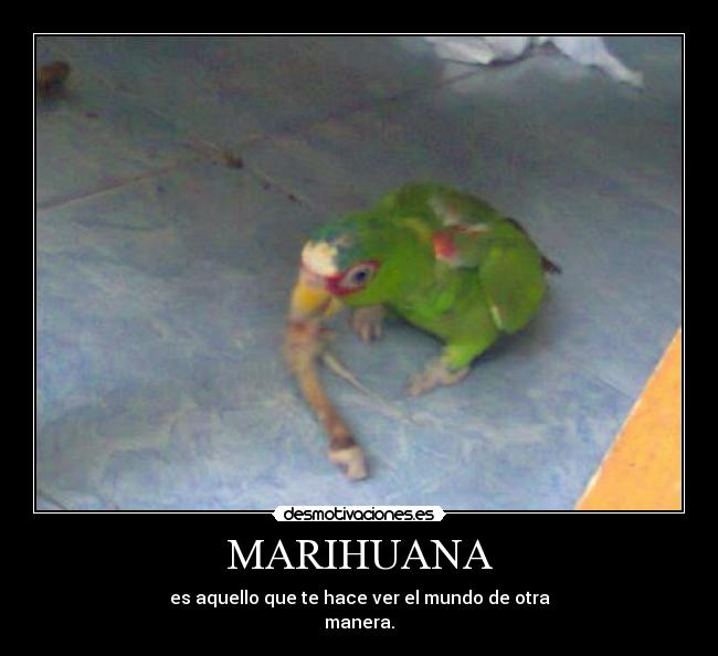 carteles chistosa desmotivaciones