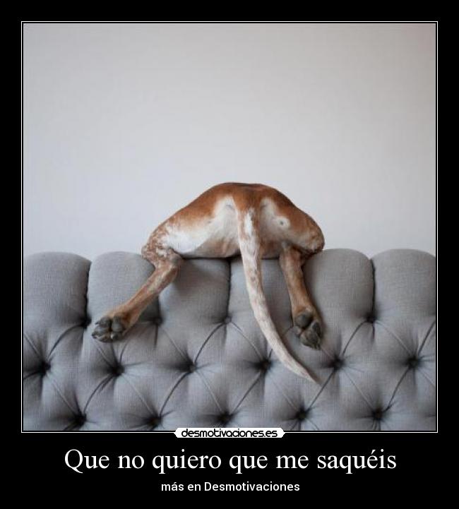 Que no quiero que me saquéis - más en Desmotivaciones