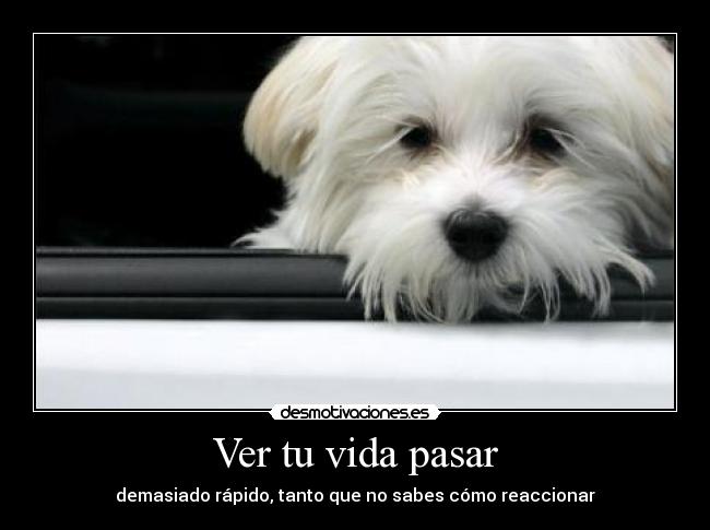 Ver tu vida pasar - demasiado rápido, tanto que no sabes cómo reaccionar