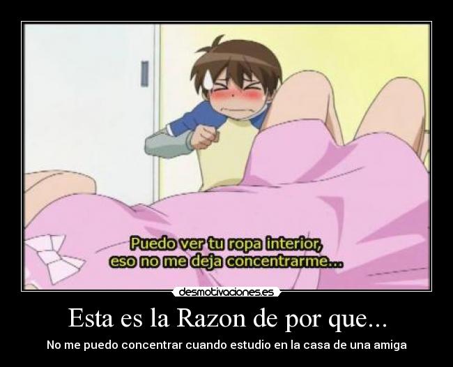 Esta es la Razon de por que... - No me puedo concentrar cuando estudio en la casa de una amiga