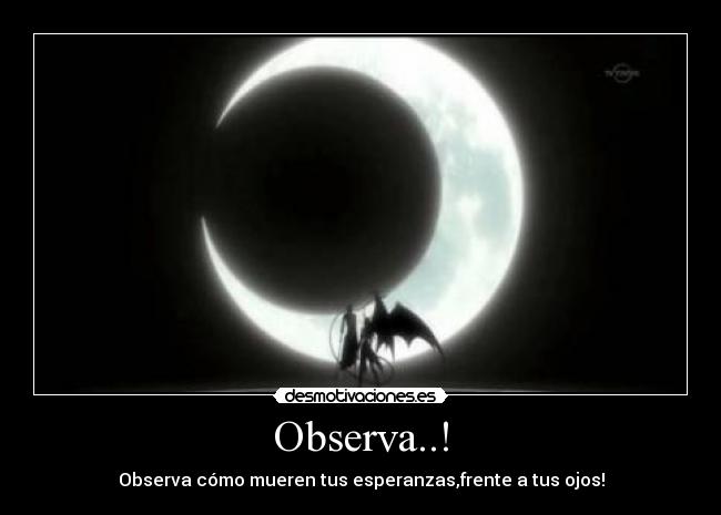 Observa..! - Observa cómo mueren tus esperanzas,frente a tus ojos!