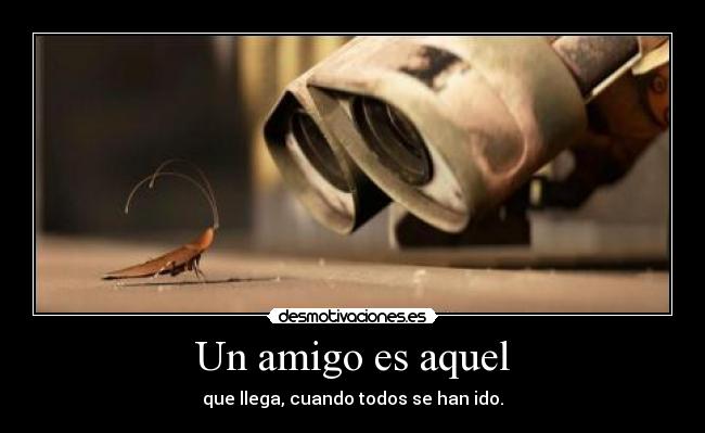 Un amigo es aquel - que llega, cuando todos se han ido.