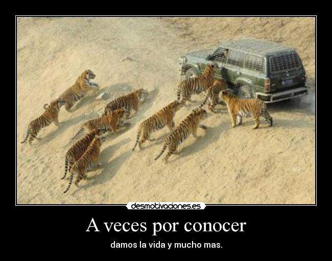 A veces por conocer - damos la vida y mucho mas.