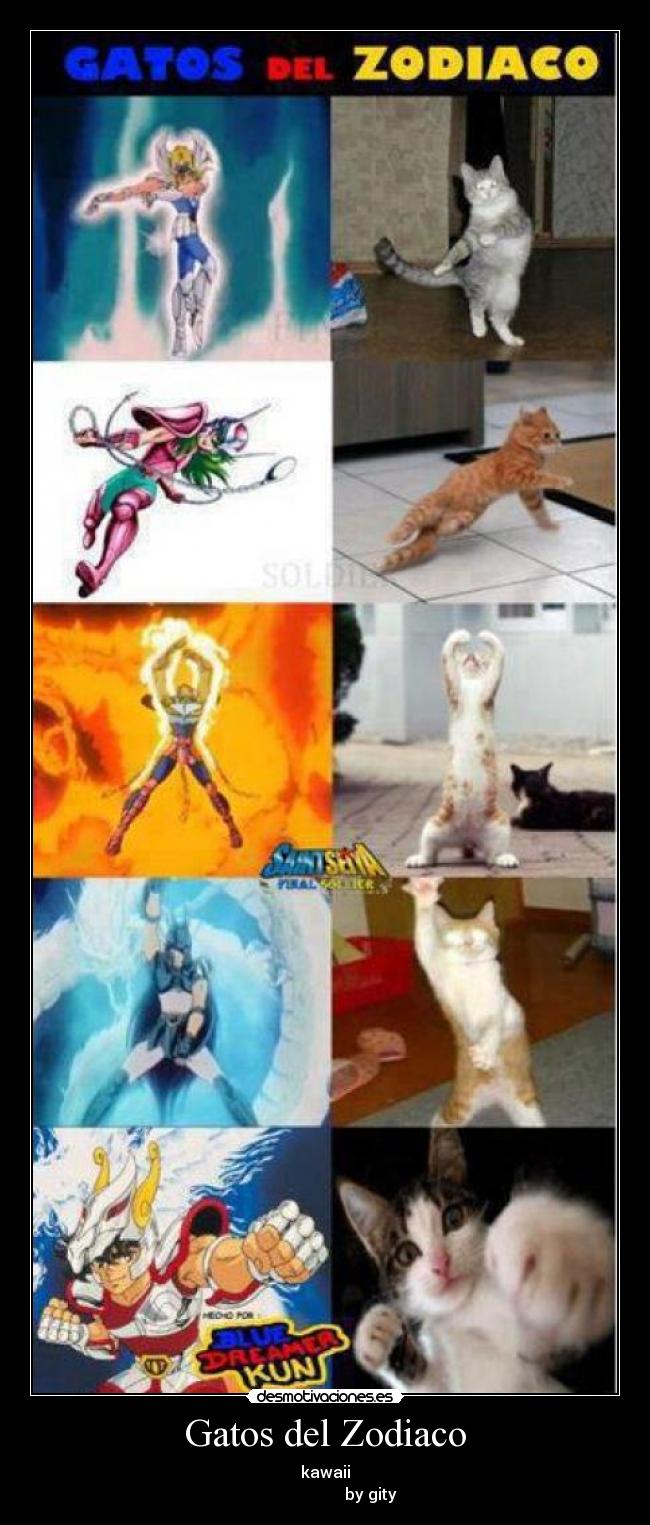 Gatos del Zodiaco - 